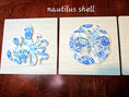 Load image into Gallery viewer, Two nautilus shell designs on a wooden surface with 'nautilus shell' text above.
