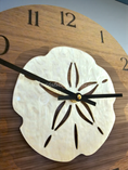 Load image into Gallery viewer, Coastal Sand Dollar Wall Clock - 12" Walnut Wood MDF with Pearl Acrylic Overlay
