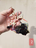 Charger l'image dans la visionneuse de la galerie, Stunning handmade resin on wood elk ornament with metallic accents, a one-of-a-kind piece for nature-themed home decoration.