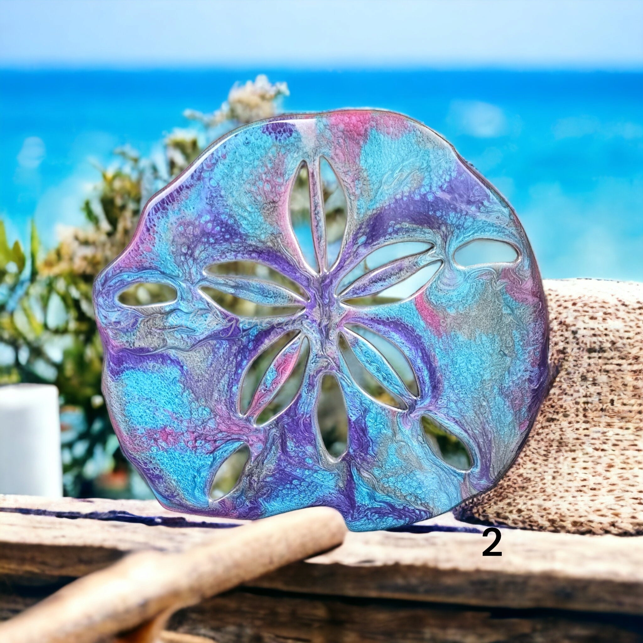 Colorful Beach Sand Dollar Wall Decoration Handmade - Coastal Elegance Decor