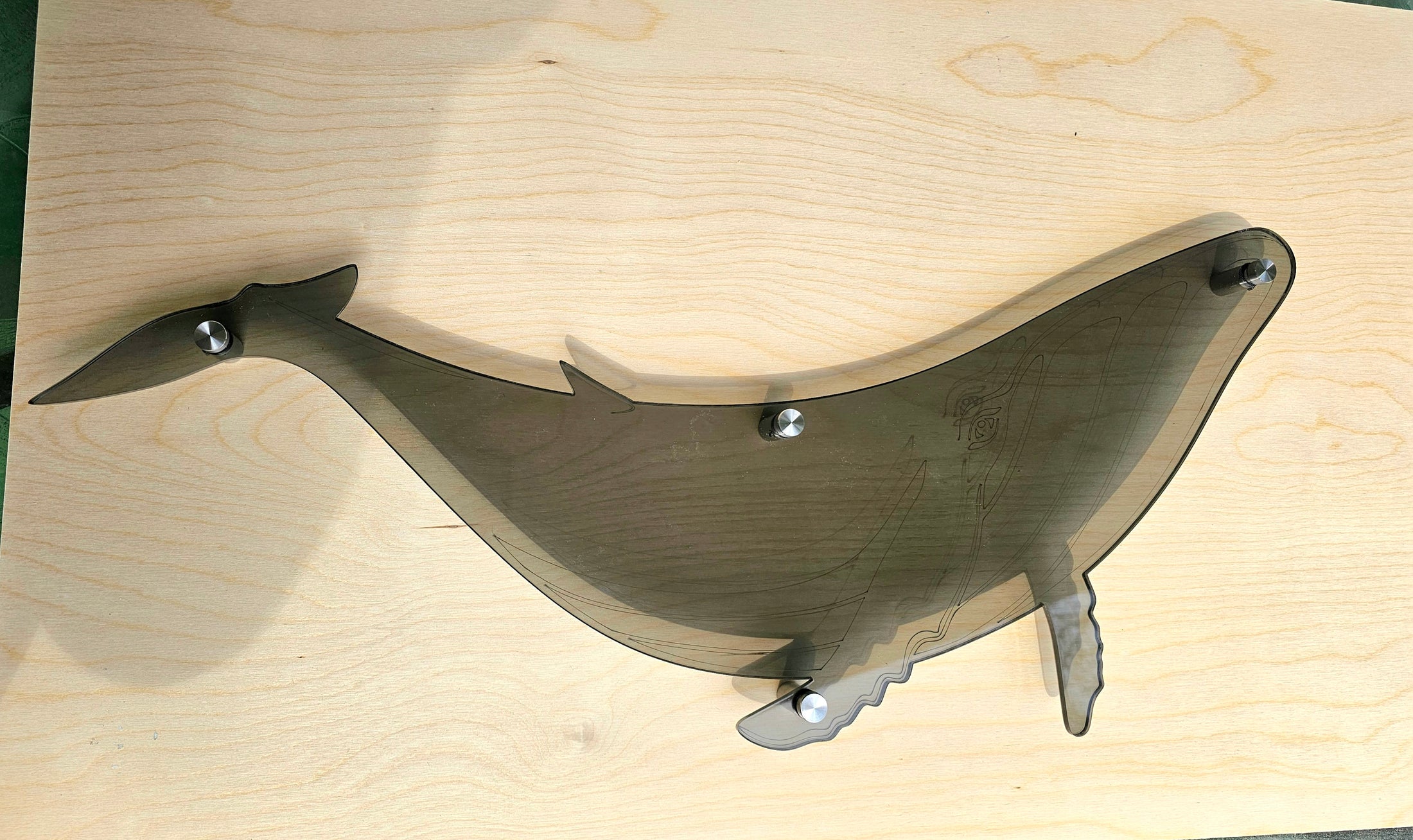 Close-up of a laser-engraved humpback whale silhouette in translucent smoke-colored acrylic, showing the polished 1/4 inch thick edges and intricate detail