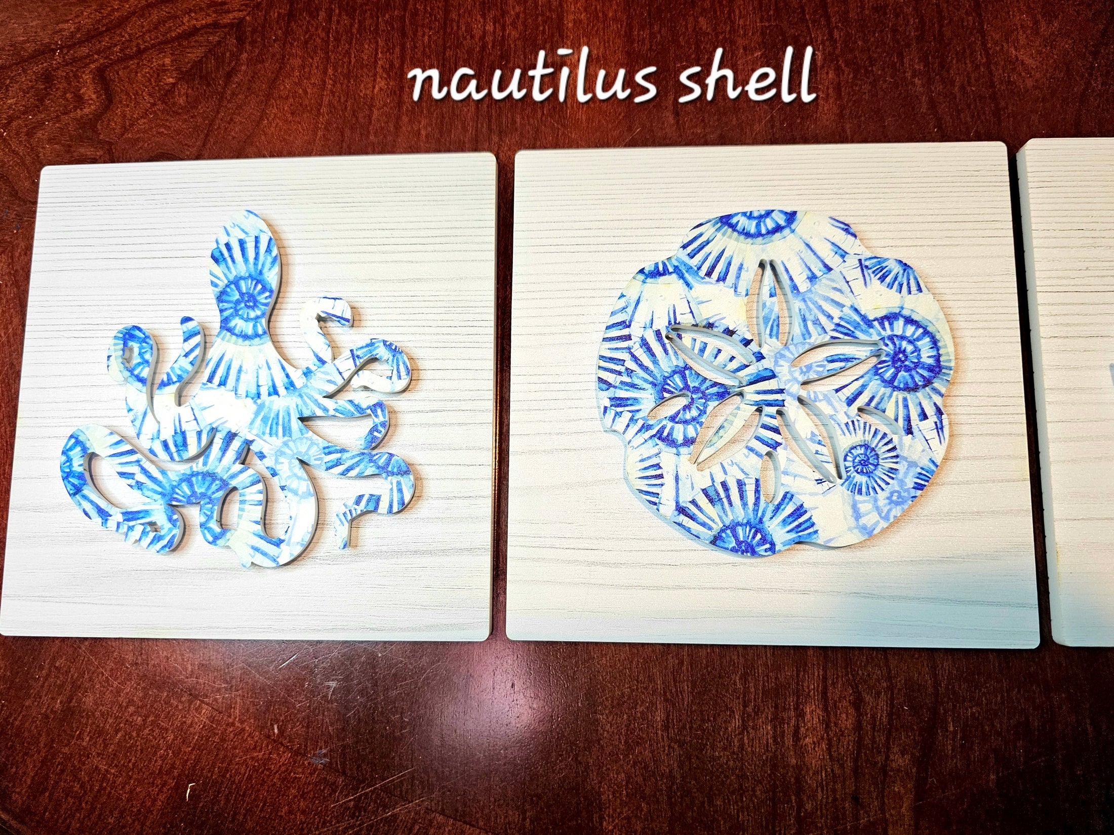 Two nautilus shell designs on a wooden surface with 'nautilus shell' text above.