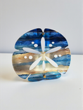 Load image into Gallery viewer, Beachy Sand Dollar Outdoor Safe Acrylic Wall Art

