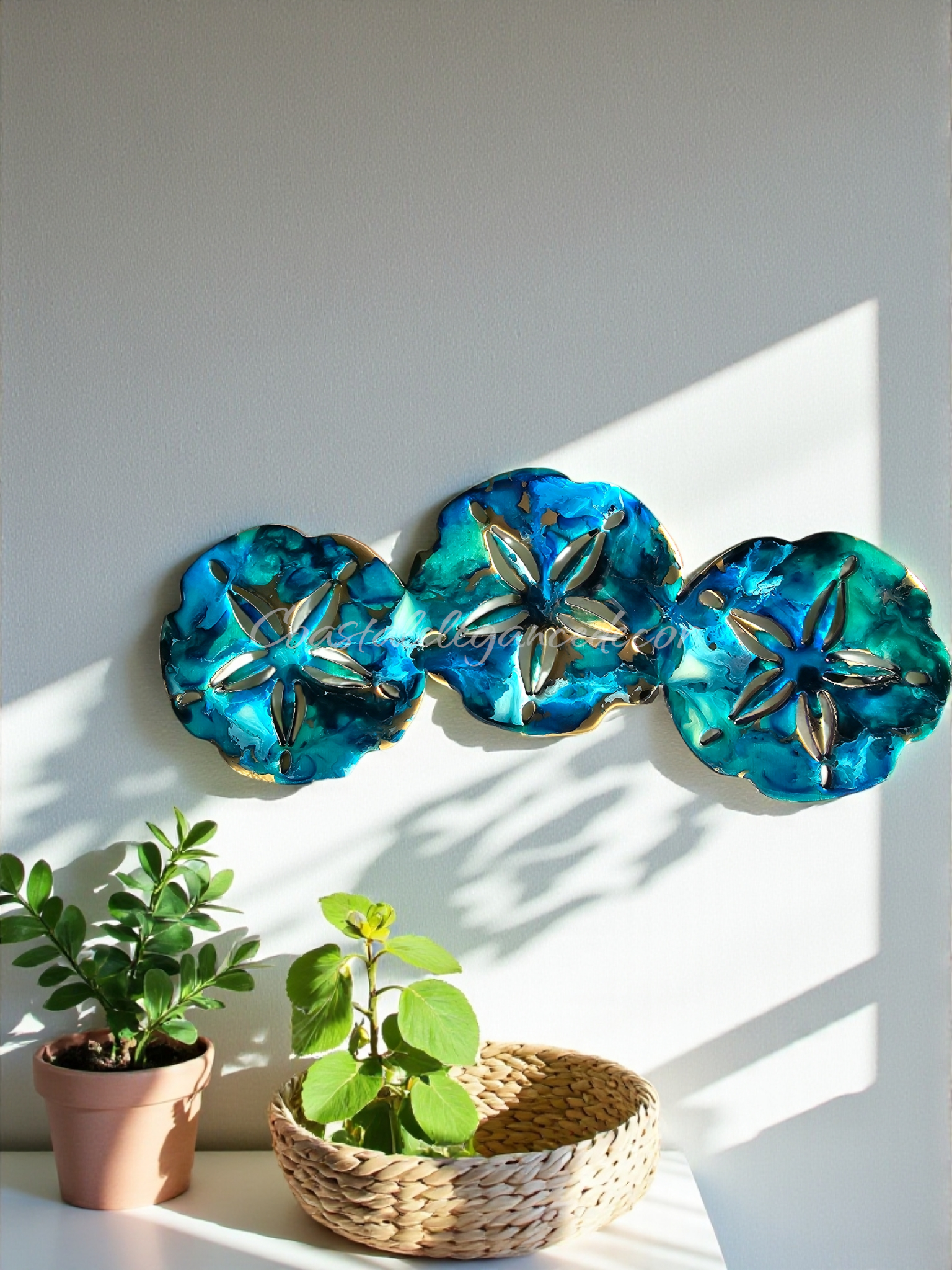 Sand Dollar Trio Wall Beachy Decoration Multiple Color Choices