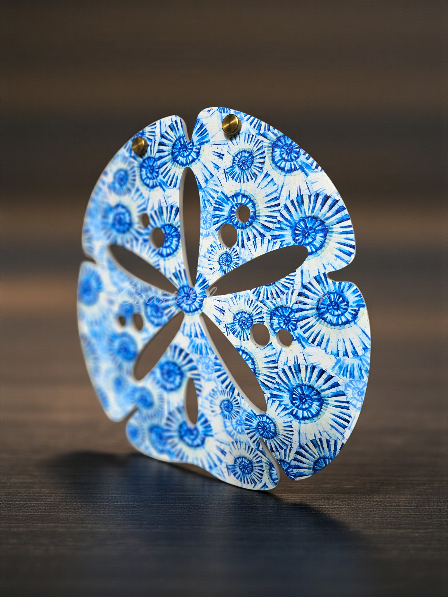 Sand Dollar Weatherproof Outdoor Acrylic Wall Art - Coastal Marine Life Collection - UV Protected