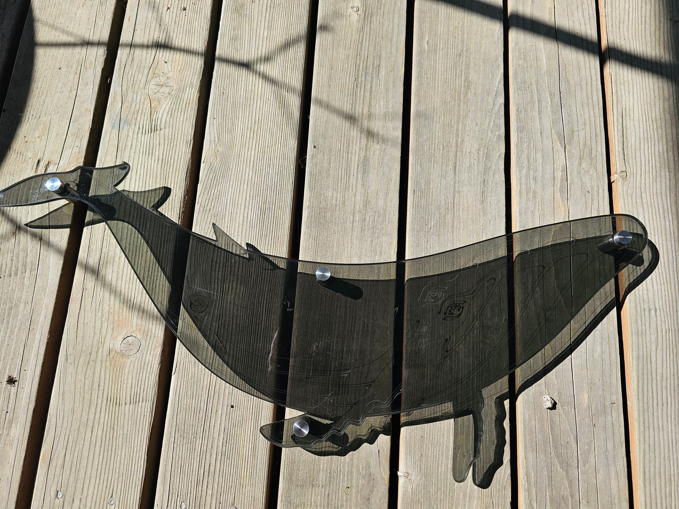 Modern smoke acrylic humpback whale wall hanging casting dramatic dancing shadows and light reflections on a sunlit wall