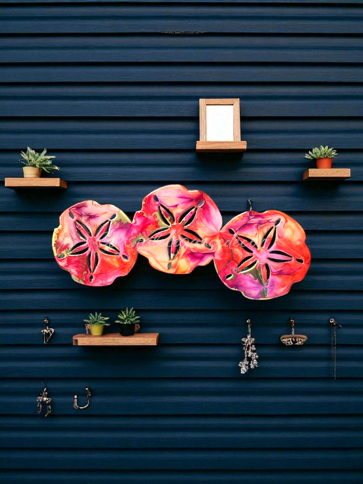 Sand Dollar Trio Wall Beachy Decoration Multiple Color Choices